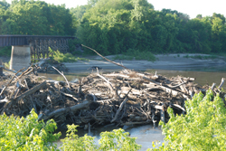 Deadwood, Minnesota?